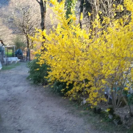 Le Casino ベッド・アンド・ブレックファスト