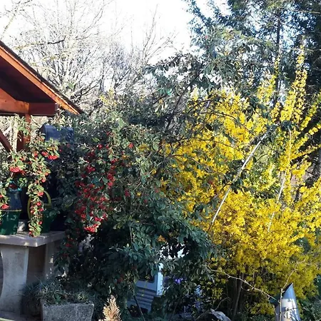 Le Casino ベッド・アンド・ブレックファスト *