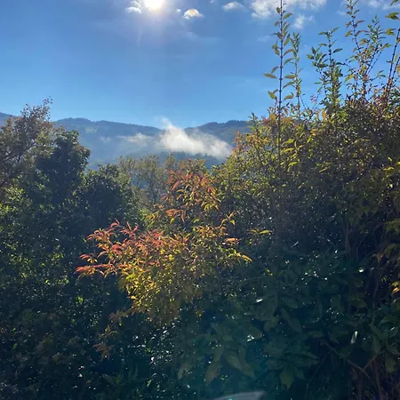 ベッド・アンド・ブレックファスト Le Casino *